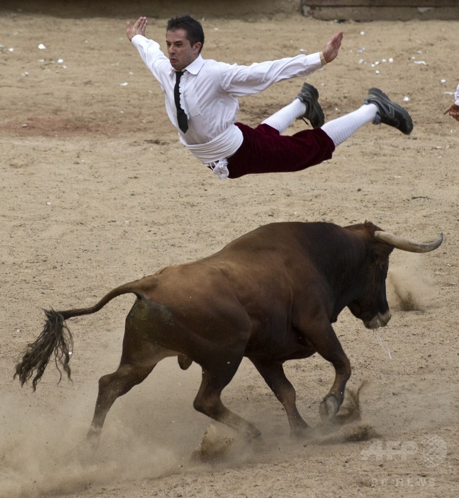 闘牛士たちの華麗な かわし技 コロンビア 写真7枚 国際ニュース Afpbb News