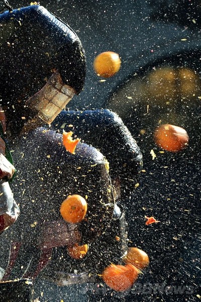 今年も開催、イタリア名物「オレンジ合戦」