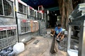 猛暑に見舞われているインドの首都ニューデリーの市場でエアコンを組み立てる人（2024年5月20日撮影）。(c)Money SHARMA / AFP