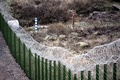 ロシア国境沿いに試験的に設置されたフェンス。フィンランド南東部イマトラ付近で（2023年10月26日撮影）。(c)Jussi Nukari / Lehtikuva / AFP