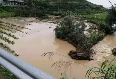 上半期の自然災害による直接的経済損失6980億円 中国