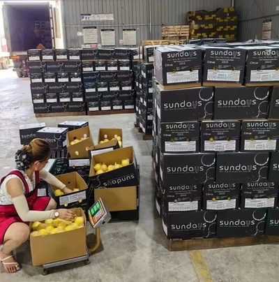 新たな鉄道輸送が新たなビジネスをもたらした＝重慶