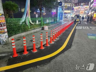 迷惑ユーチューバーに“鉄槌”…韓国“配信の聖地”にポール86本設置、長時間配信を物理的に阻止