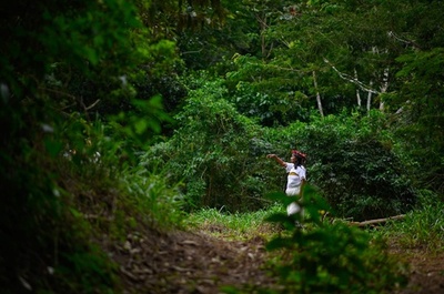 作物育たぬ土地から公有地に移住へ ブラジル先住民