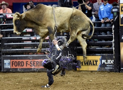 暴れ牛に挑戦！ ブルライディング大会、米NY