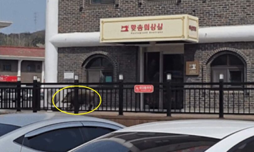 オンラインコミュニティ(c)NEWSIS