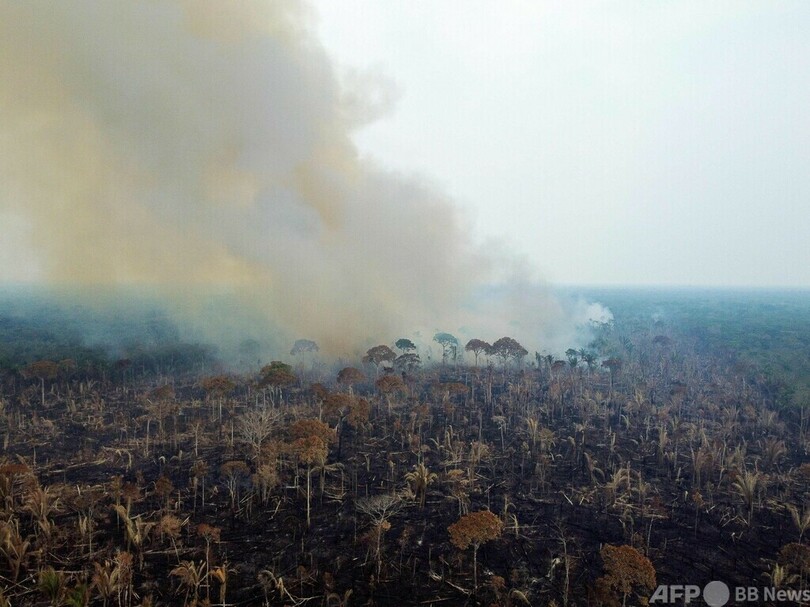 アマゾン熱帯雨林の火災、すでに昨年上回る多さ ブラジル