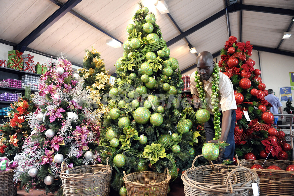 クリスマスは2万5千匹の虫とともに訪れる、研究結果 クリスマスは2万5千匹の虫とともに訪れる、研究結果