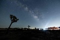 米カリフォルニア州にあるジョシュア・ツリー国立公園で、ジョシュア・ツリーの上に輝く天の川。この日、オーロラ目当てに大勢が同園に詰めかけたが、オーロラは観測できなかった（2024年5月12日撮影）。(c)ETIENNE LAURENT / AFP