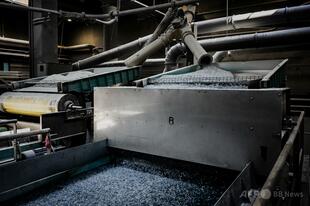 大腸菌を利用、プラスチックが鎮痛剤に 英研究