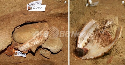 img_17069be1fbecd6ef5680b78f58