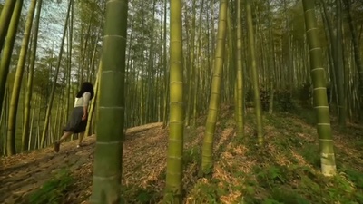 動画:初夏の莫干山、江南山水の美際立つ 中国浙江省