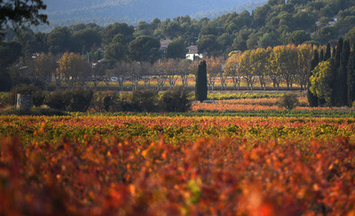 南フランス、紅葉が広がる秋の風景