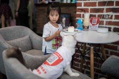 猫店員がご注文伺います、呼んでも来ないかもしれないけど 杭州のカフェ