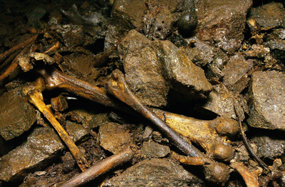 朝鮮戦争時、韓国人25万人が同胞による虐殺の犠牲に、調査進む