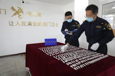 中国・大連税関が毒グモ504匹を押収 輸入郵便物を違法送付