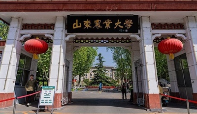 中国の科学者が「植物細胞全能性」の謎を解明