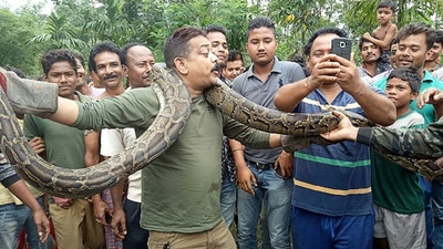 米動物園のジャガー 防護柵越え自撮り試みた女性襲う 写真1枚 国際ニュース Afpbb News