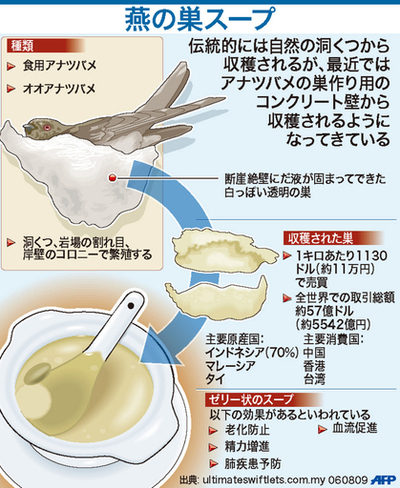 【図解】燕の巣スープ