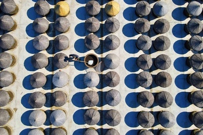 【今日の1枚】しょうゆ造り、昔ながらの製法を守る 中国