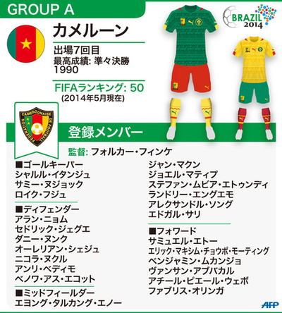 【図解】W杯ブラジル大会：カメルーン代表メンバー23人