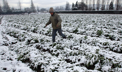 南米チリに記録的な寒波が到来、10人が死亡