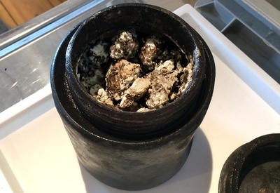 17世紀の沈没船から340年前の「チーズ」、スウェーデン