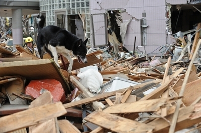 呼吸や汗を感知して人命救助、新型センサーを英大が開発