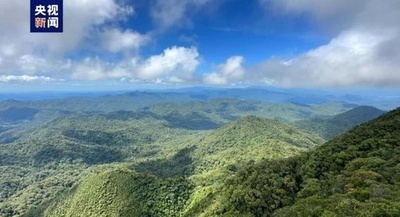 中国初の熱帯雨林の炭素排出量取引を完了