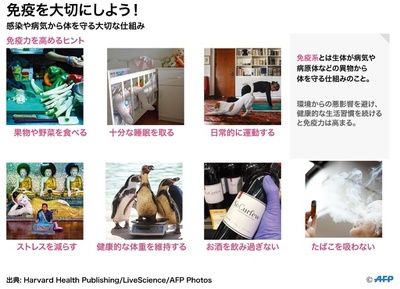 【図解】免疫を大切にしよう！ 体を守る大切な仕組み