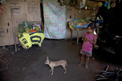 「哀しみの聖命」