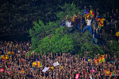 【今日の1枚】クリケット観戦者が熱狂、重さに耐える木の枝 スリランカ