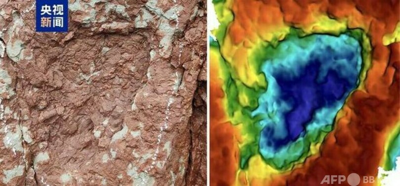 中国の科学者 チベットで世界最小の龍脚類恐竜の足跡化石を発見