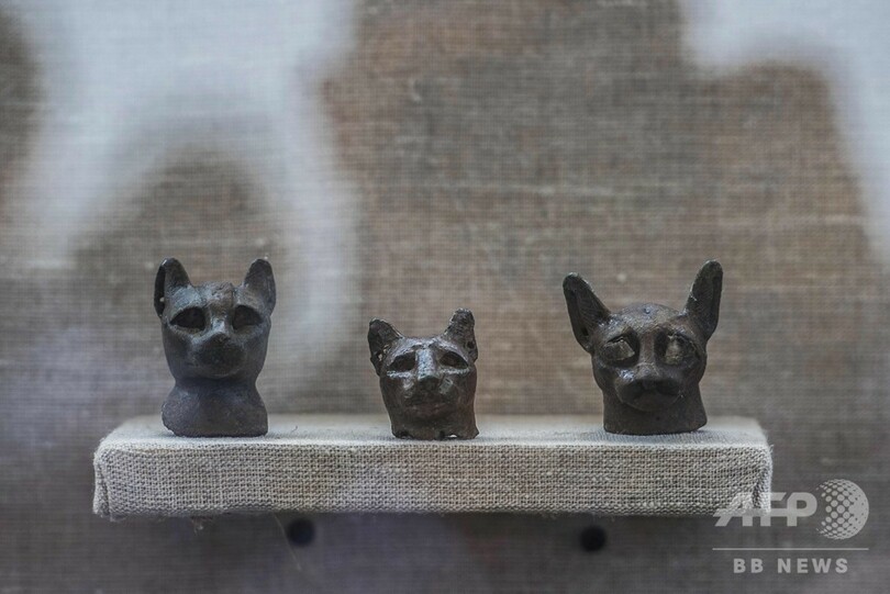 猫のミイラや銅像など発見、エジプト古代都市サッカラの遺跡