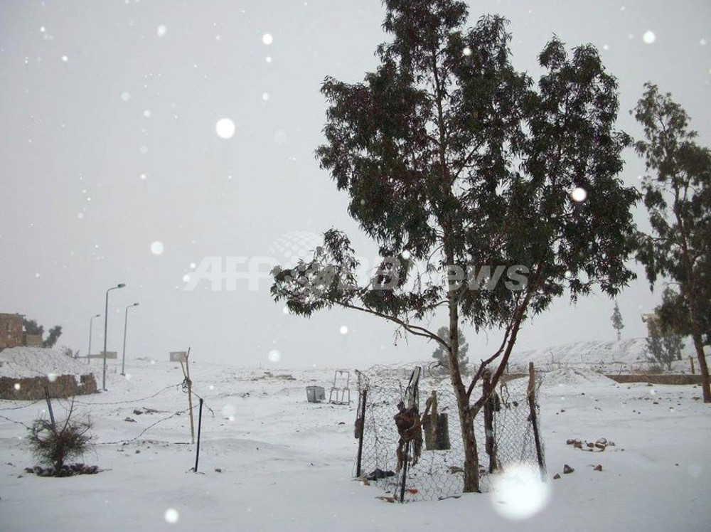 エジプトに雪 中東に 冬の嵐 写真8枚 国際ニュース Afpbb News