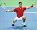 男子テニス国別対抗戦、デビスカップ・ワールドグループ準々決勝、クロアチア対セルビア。勝利を喜ぶセルビアのノバク・ジョコビッチ。（2010年7月11日撮影）(c)AFP