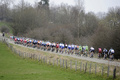自転車ロードレース、第99回リエージュ～バストーニュ～リエージュ（99th Liege-Bastogne-Liege）は21日、ベルギー・リエージュ（Liege）からアンス（Ans）間の261.5キロメートルで行われ、ガーミン・シャープ（Garmin Sharp）のダニエル・マーティン（Daniel Martin）が6時間38分7秒で優勝した。

レースに臨む選手（2013年4月21日撮影）。(c)AFP/LIONEL BONAVENTURE