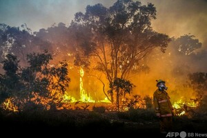 オーストラリアに二つの災害 西で山火事、東で洪水