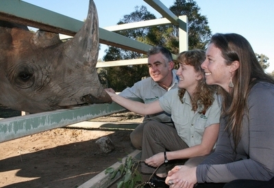 絶滅危機のクロサイ、豪動物園が人工授精に成功