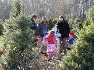 カナダの「グリーン」なクリスマス、今年のツリーはレンタルで
