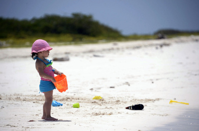 観光はしばらくお休み、ベネズエラの島で清掃作業