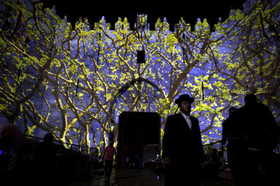 色とりどりの魚やお花、光のインスタレーション エルサレム