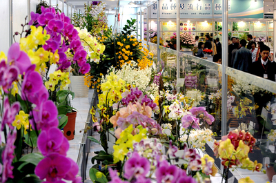 きれいな花がいっぱい、「2009台北国際花卉展」