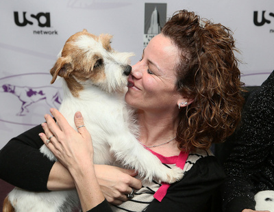 新入りの2犬種をお披露目、ウェストミンスター・ドッグショー
