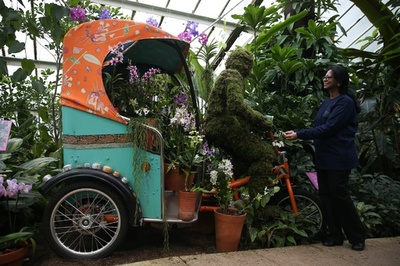 彩り鮮やかなランの祭典、テーマは「インド」 英キュー王立植物園