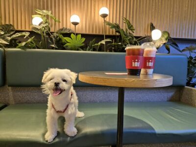 韓国で増え続けるペット…人気を集める「特化店舗」「専用商品」