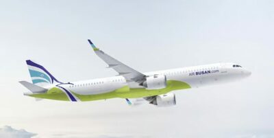 韓国・エアプサン機、離陸直後に鳥と衝突…176人乗せ空中旋回、空港に引き返す