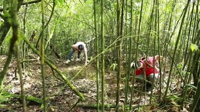 動画:中国四川省峨眉山で「失踪」半世紀の絶滅危惧種を発見