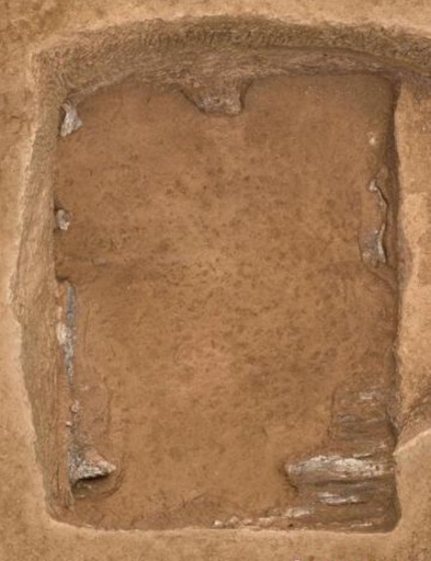2500年以上前の中国ですでに車馬祭祀の伝統が成立 考古学調査で判明