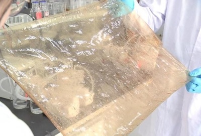 中国 新型イオン伝導膜の開発に成功